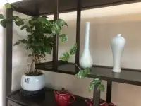 你呀，總是看到自己身上的小小瑕疵，然后失落然后自卑。可你也閃閃發光，也溫柔，也可愛，也在努力并一定會成為更好的人。請放寬心，我們一定會一步步靠近更喜歡的自己。配圖