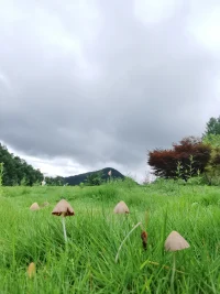 天黑路滑，社會復(fù)雜。江湖險(xiǎn)惡，人心叵測。我們需要博弈，更需要博弈的智慧。也許最明智的處世之術(shù)就是既對世俗投以白眼，又與世浮沉。配圖