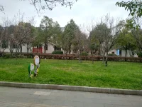 孩子不愿意與父母說話，怎么辦？
作為父母，當孩子不愿意與你溝通時，你可以嘗試以下方法：

1. 給孩子一些私人空間和時間，讓他們有時間思考和處理自己的情緒。

2. 表現出對孩子的關心和支持，讓孩子感到你是在關心他們，而不是想要控制他們。

3. 嘗試與孩子建立溝通的信任和互相尊重的關系，不要輕易地批評或指責孩子，尊重他們的想法和感受。

4. 嘗試以開放的心態和溫和的語氣與孩子交流，讓孩子感到安全和舒適。

5. 如果孩子有困難或問題，盡可能提供幫助和支持，而不是試圖解決問題。

總之，建立良好的溝通和信任關系需要時間和努力，但它是建立健康家庭關系的重要基礎。配圖