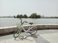 或許你學習了很多知識，但仍困惑于：為什么懂了那么多道理，卻依然過不好這一生?因為道理豐富的是你的頭腦，并不是你的體驗。潛意識不相信道理，只相信體驗，一萬個好的道理，都不如重新體驗一次。而心理咨詢就是在一個包容和理解的環境下，建立一個矯正性的體驗，去覺察到你沒有意識到的元素，促進你對自我的覺察，和重建體驗，覺察什么是過去，什么才是現在。配圖