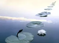 生活就像一場修行，修自己的耐心、恒心、平常心。如果能夠承受巨大的失落，眼看著美好被歲月和美好消耗，還能在這樣的現實中，保持創造和熱愛，那就是真正的強大了。就像羅曼·羅蘭說的“只有一種英雄主義，就是在認清真相之后熱愛生活”。配圖