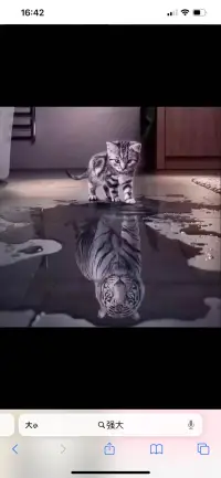 很多時候，當下我們以為邁不過去的檻，一段時間之后回過頭看其實早就輕松跳過，所以沒能打敗你的東西，都將使你變得更強大。配圖