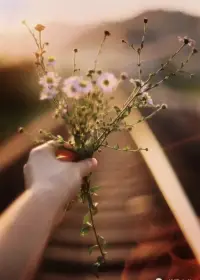 人生那就是一場修行，修的就是一顆心，心柔順了，一切就完美了，心清凈了，處境就美好了。人的這一輩子，不管活成什么樣子，都不要把責任推給別人，一切喜怒哀樂那都是自己造成的。配圖