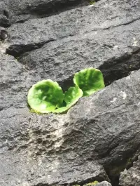 因情緒的成熟而去給予，并為此感到喜悅的人，就可以從焦慮中得以解放。配圖