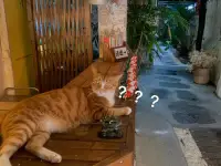 寬容是幸福的根本因素，施行仁慈的令人愛慕；施比受更為有福。早安??配圖