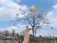 快樂是一種心境，跟財富，年齡與環(huán)境無關(guān)配圖