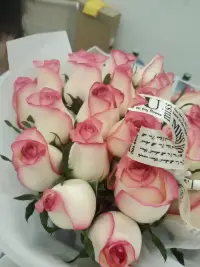 早安
悲欣交集才是人生
苦甜參半方才美味
沒有完美的人生
不必苛求自己太過完美
接受不完美的才能擁抱更完美配圖