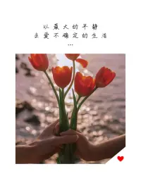 以最大的平靜，去愛(ài)不平靜的生活????每天都是新的開(kāi)始??配圖