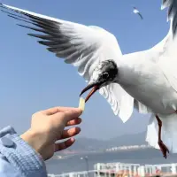 各有渡口，各有歸舟……配圖