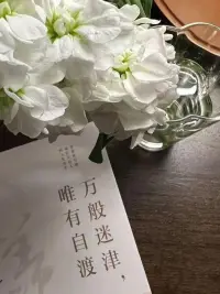 浮生不过梦一场，所以能冶愈你的，从来都不是时间，而是内心的释怀和明白……配图