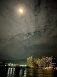 只有心靈相通的人，才有共鳴看人世間的潮起潮落；只有靈魂相近的人，才能看到內心深藏的美麗！配圖