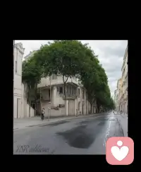 ✨愿你活的认真，笑得放肆；
坚定自信，温暖又阳光配图