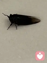 突如其来的意外防不胜防……配图