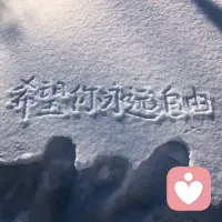 你永遠不可能，總是對任何事情都做到確有把握，你所能做的就是，用你的勇氣和力量，去做認為你正確又值得做的事……配圖