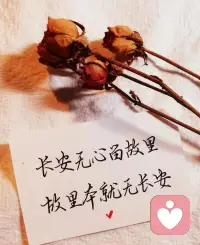 长安无心留故里，故里本就无长安。。。配图