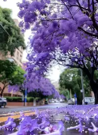 靜看花開花落……配圖