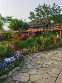 沿途有風光、背后有陽光……配圖
