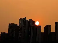 小草不和大樹比高矮，清茶不和咖啡比品位，做人不和別人比生活，各有各的追求，各有各的快樂配圖