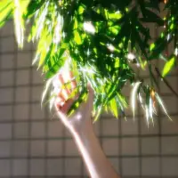 我们终究会在事与愿违中学会自渡……