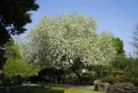也許我們不能改變出身和成長環境，但是我們可以調整思維方式，保持樂觀的心態。那些與伴侶長相廝守的人，往往有三種基本心態，保持樂觀，正確處理投射，坦然面對承諾。如果能擁有這些積極的心態，我們就會有更多的機會邂逅愛情配圖