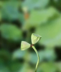 想要獲得平靜，必須放下過往。相信生命可以走向完整。配圖