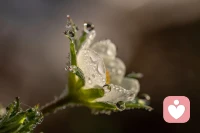 完整地接納過去和當下，才會組成真實而完整的你。配圖