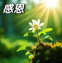 我們的生活是由我們的想法決定的