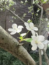 愛的目的不是得到你想要的，而是為了你所愛之人的福祉去做些什么。無論如何，這是事實，當我們聽到肯定的言語時，我們就會被激勵，并愿意回報對方。配圖