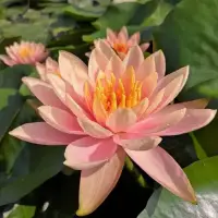 我們總是把別人的期待，視作是自己必須要做到的事，總是去扮演一個讓旁人滿意的「人設」，而壓抑了自己的真實。配圖