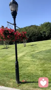 我與春風皆過客，你攜秋水攬星河。配圖