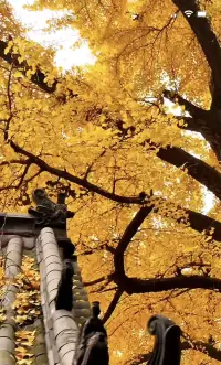 生活中除了心中愛的人，還有美麗的風景配圖