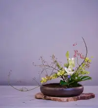 不要過于焦慮和著急，即使身處黑暗，抬頭也可以看見星空。錯過落日余暉，還有漫天星辰配圖