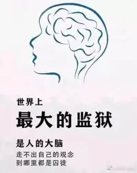 有的人居無定所過著安寧的日子
有的人卻在豪華住宅里一輩子逃亡配圖