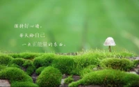 走向心理成熟的四個階段

1、情感從極端化走向平穩化心理成熟的一個重要標準是，你是否感悟到親情的有限、友情的多變以及愛情的隨緣。一個真正心理成熟的人并不是讓自己變得無情，而是我們能夠用平和、冷靜、客觀的心理狀態來應對這些關系。
2、從輕視自己到重視自己心理不成熟的人會作踐自己，難以客觀評價自己，很難在生活和工作中看到自己存在真正的問題!但是，心理成熟的人會十分重視這個問題，他們更懂得反思、總結和修正，當你走進這個階段中，你會發現很多問題都已不再難以解決。
3、從斗爭到寬容當我們處于這個心理階段時，以前我們認為是屈辱、是挑釁的事情都變得開始平和起來，我們不再用那種憤怒的情緒加已多待。
4、從輕視簡單到重視簡單做一份的心應受的工作很簡單，我們會用一種輕視的態度去對待，但是后來我們發現，生活就是由一件件簡單的事情構成我們所知的世界，一切的簡單實際上十分有意義，因為將復雜的事情看簡單，將簡單的事情想深入正是我們一生最重要的思考。配圖