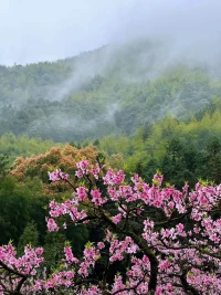 愿我們的每一天，都能奔赴在熱愛里！配圖