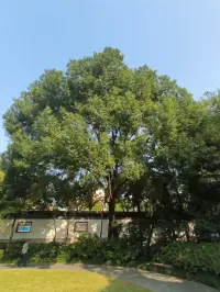 并不存在所謂的對(duì)未來(lái)感到焦慮恐懼。所有指向未來(lái)的，都指向過(guò)去。配圖