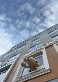 回溯過去，不是為了賴著誰，讓誰背負一個肇事原因。而是面向與看見自己的起點所在之處，如此，才能真正接受自己的來處。心甘情愿得接受自己的起點所在之處，如此，在現實中的每一步，都穩穩得踩在基石之上，你踏實前進的每一步，就都屬于你自己。——咨詢隨筆配圖
