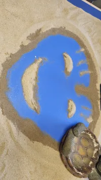 一段好的親密關系就像一面鏡子，照見自己也照亮他人。配圖