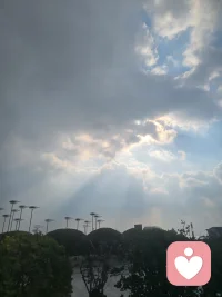 我们总在关系中寻找答案，却常常忘了，问题本身，可能就是答案