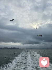 永远不要相信苦难是值得的，苦难就是苦难，它不会带来成功，也不值得追求，磨练意志是因为苦难无法避开配图