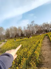 大自然的饋贈配圖