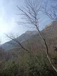 痛苦是因為你在逃避痛苦引起。配圖
