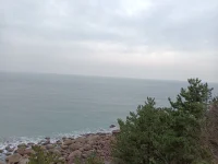 你能想起來多少，關于你的優點和強項？如果不能就聯系我吧。配圖