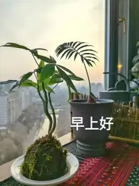 陽光很暖，電量很滿，每天給自己一個微笑，不為昨天嘆息，只為今天而笑。配圖