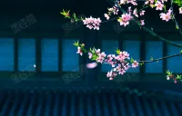 當人們在主觀上支持某觀點時，往往傾向于尋找那些能夠支持我們觀點的信息，而忽略那些可能推翻我們觀點的信息。
比如我們認為去大城市工作好，我們就會說大城市工資高、機會多、牛人多等等，但是卻不愿意去提大城市的缺點：交通堵塞、房價高、工作太累等等。配圖