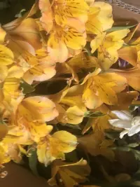 祝我們都能擁有穩定的情緒和愛，去喜歡那個很拽卻可以向你低頭的人。配圖