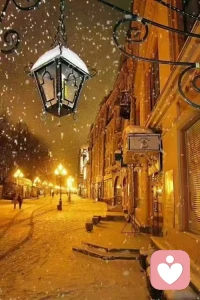 冬天是一年中最寒冷的日子，
没有了百花争艳的姹紫嫣红，
也‭有没‬‬了汗流浃背的酣畅淋漓，
找‭个一‬‬安静的角落静静思索，做‭心内‬‬的主人。

找到适合‭己自‬‬的节奏，
在冬天里也会遇见花开，
那是‭朵朵心花在‭放绽‬‬。配图