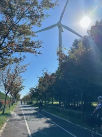 你敢不敢這樣活著——對自己不再有任何要求。
不再妄想自己應該成為什么樣的人，停止所有的要求與內(nèi)心戲碼。只是去看看真相是什么，看“你是什么”，而非“你應該是什么”。
當下的身心渴望是你唯一的上師，不再定義好壞對錯，允許自己“如你所示”，而非“如你所愿”，慢慢的向內(nèi)觀看，釋放掉你所有的固守，你就會看見真正的自己，真正的伴侶，真正的孩子，以及所有的真相。

——《走出劇情》配圖