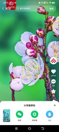 你可以接受平凡，但這不是你不努力的理由配圖