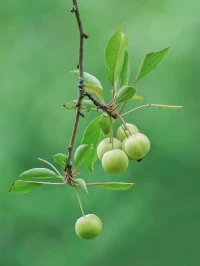 浪漫有時不言不語
藏在生活的某一瞬間
打開感受幸福的雷達
不錯過每個珍貴的時刻
認真發現細小的美好人生便處處是感動配圖